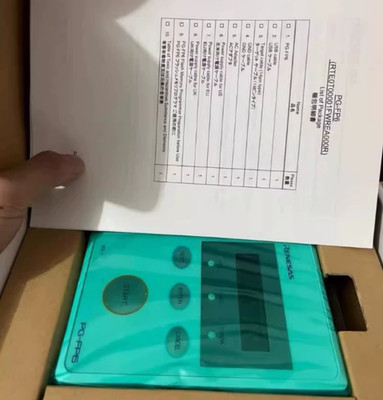 Renesas RTE0T00001FWREA000R Programmer PG-FP6 Online Programmer