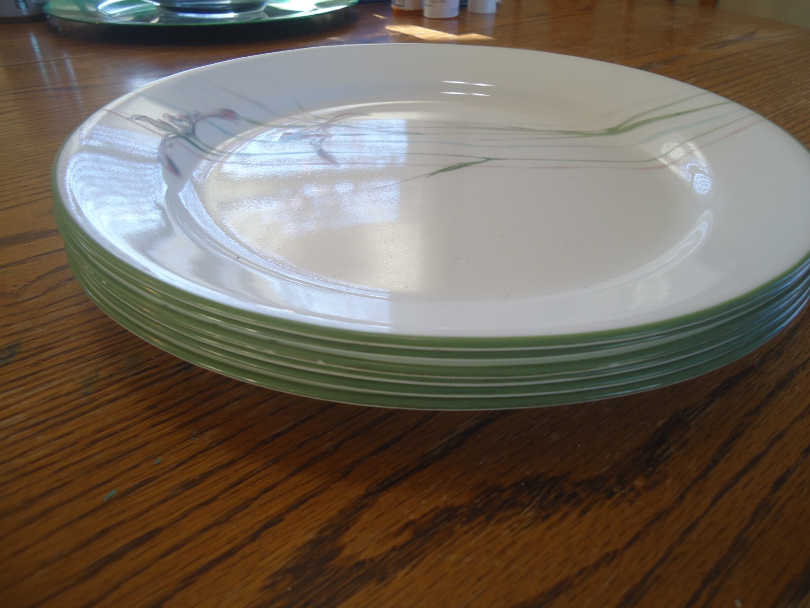 Corelle Shadow Iris Dinner Plates 10" Inches Qty 6 White Floral Green