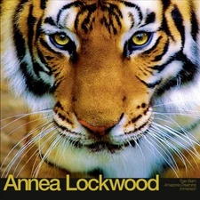 Tiger Balm / Amazonia Dreaming / Immersion by LOCKWOOD,ANNEA [VINYL]