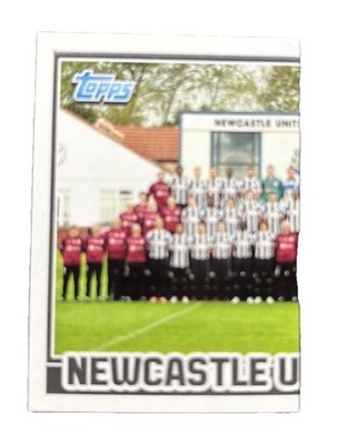 Topps Premier League 2013 - # 134 - Newcastle United Team Group - Part 1