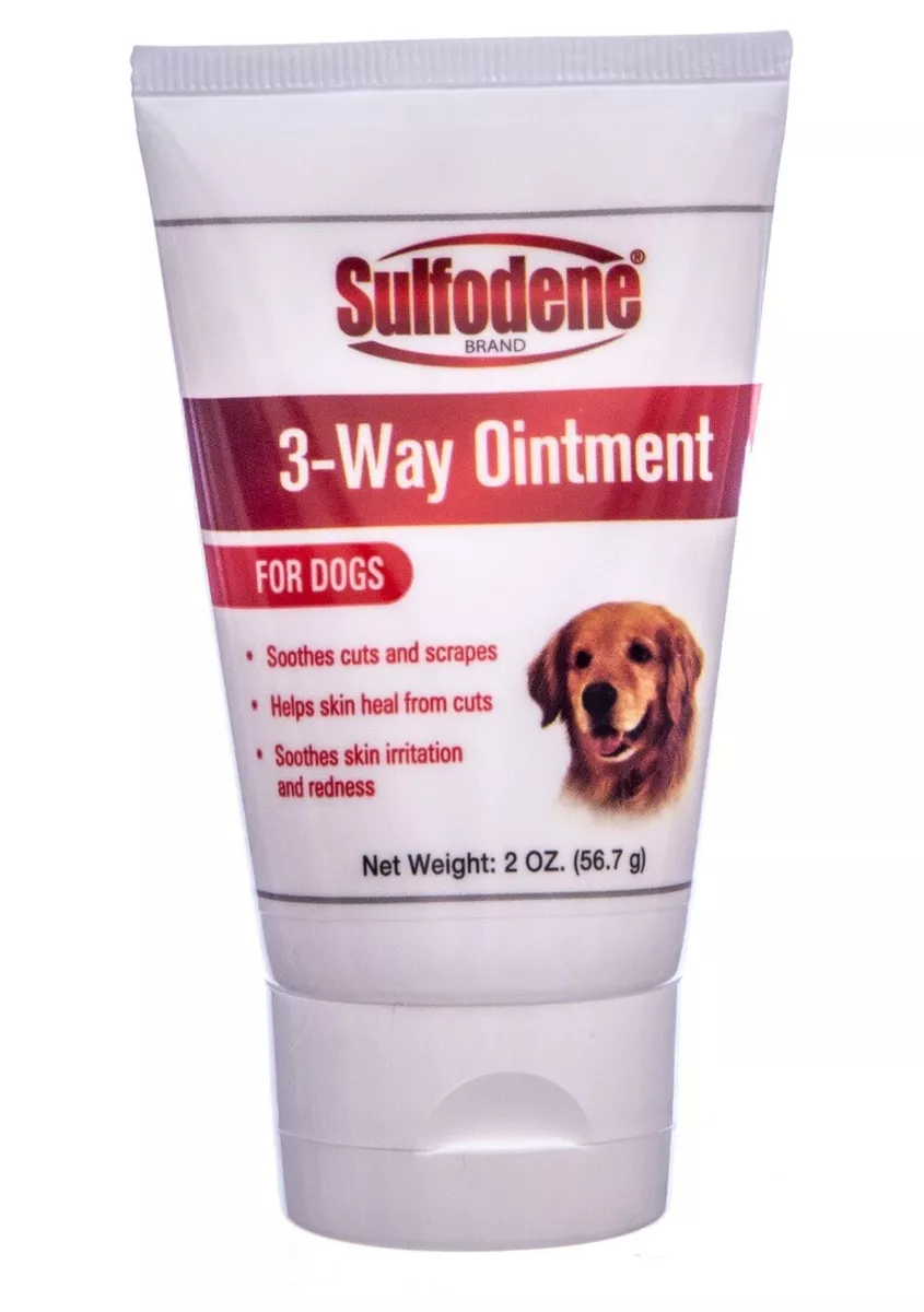 Wound ointment for dogs deals