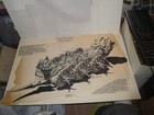 Signed! ERROL McCARTHY 70's CARtoons Magazine 'Cars That History Forgot' 29"x19" — photo 1