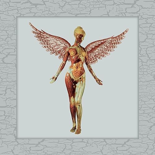 【NIRVANA】IN UTERO (30TH ANNIVERSARY 5CD) NIRVANA In Utero 30th Anniversary Super Deluxe Limited 5SHM