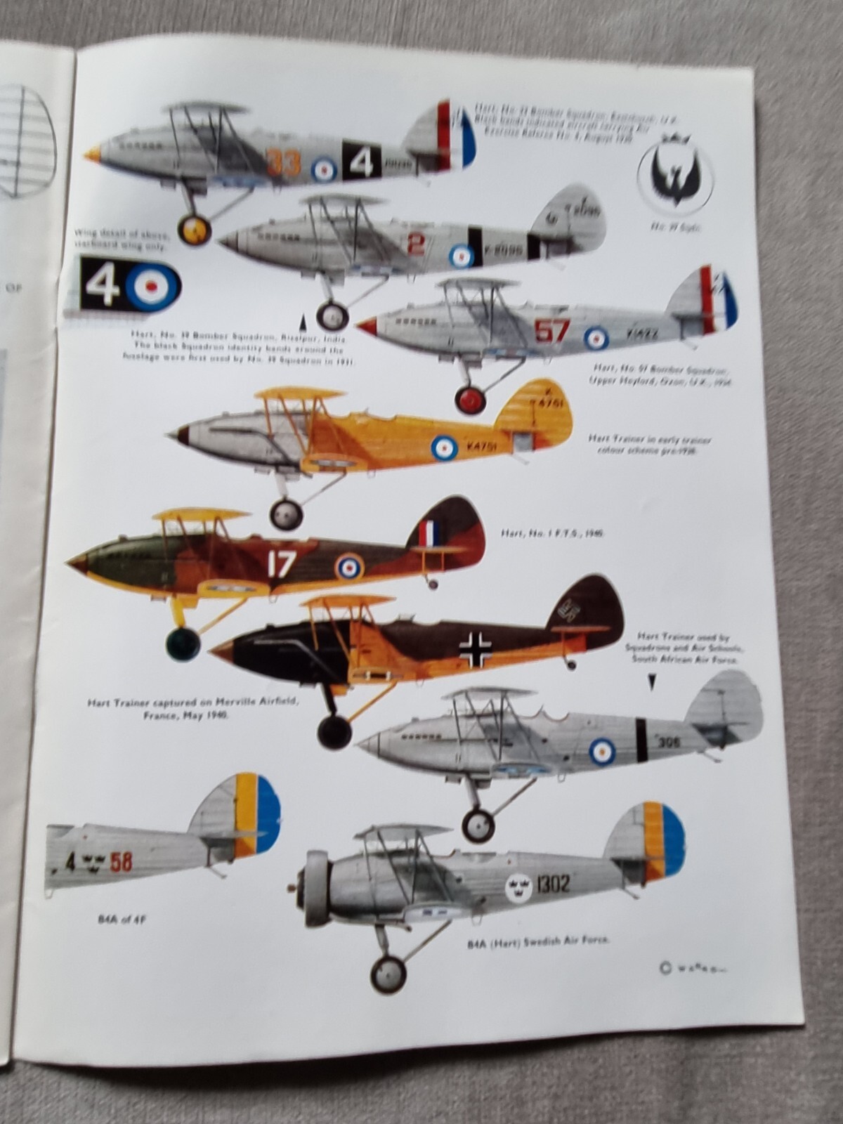 Picture 4 of 4