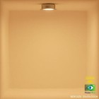 Bild 8 von 9
