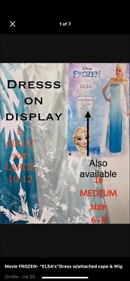 DISNEY STORE AUTHENTIC  FROZEN MOVIE ELSA COSTUME DRESS   & MATCHING WIG