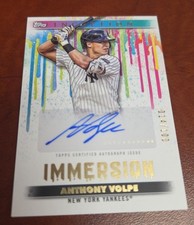 2024 Topps Inception Anthony Volpe Immersion Auto 14/100 #IA-AV New York Yankees