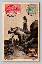 Italia- Stefano Bruzzi dipinto di pastorella e pecora vecchia veduta cartolina d'epoca