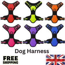 Topaz Dog Harness NoPull For Small Medium Large Dogs Anti Pull Strong Adjustable