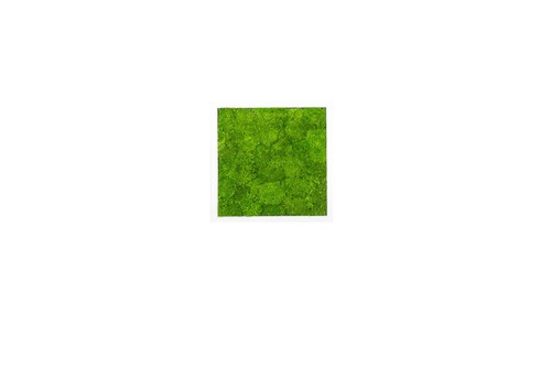 Wandbilder Wave Design Moosbild Wandbild Wand Moos Bilder Oster Dekoration - Bild 4 von 39
