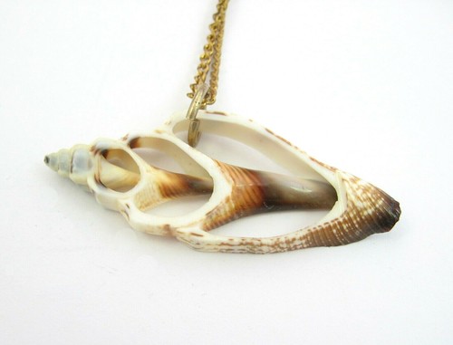 SLICE of a SEASHELL Sea Shell PENDANT Vintage Necklace Ocean Goldtone 24" Chain - Picture 6 of 10