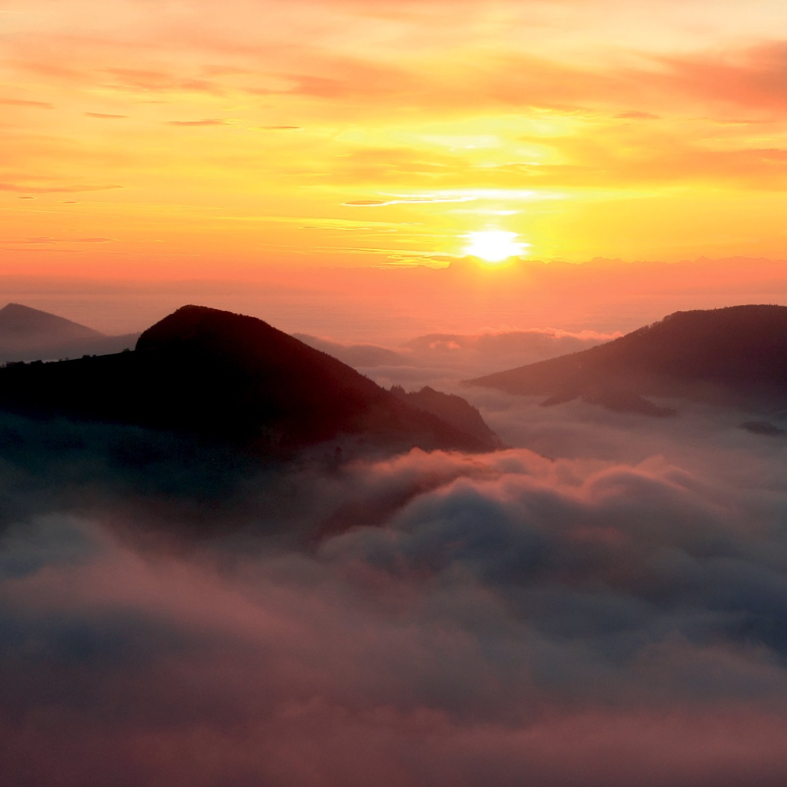 Llewellyn Greeting Card - Night and Day (CD)