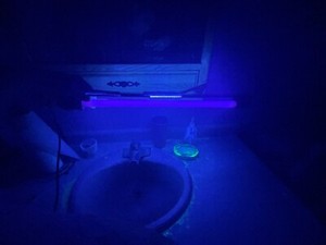 Archipelago BLKFL24UC Purple Violet Fluorescent Tube Light – Under Cabinet 17W