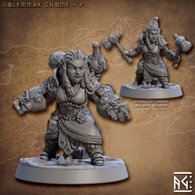 Gnome Fighter / Cleric F ALTERNATE - Artisan Guild - Dungeons and Dragons