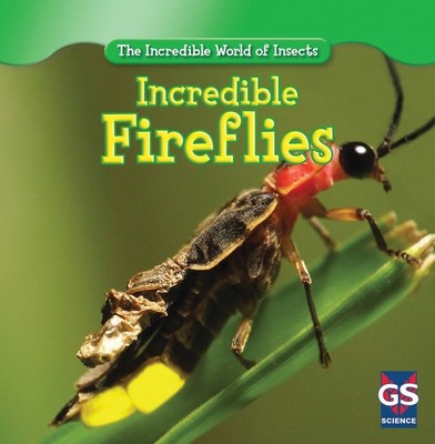 Incredible Fireflies (Incredible World of Insects)