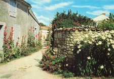 17 TALMONT RUE FLEURIE DE PASSEROSES