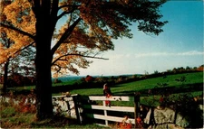 U.S.A., K-1690, Tichnor Bros., Boston 15, Mass. Postcard