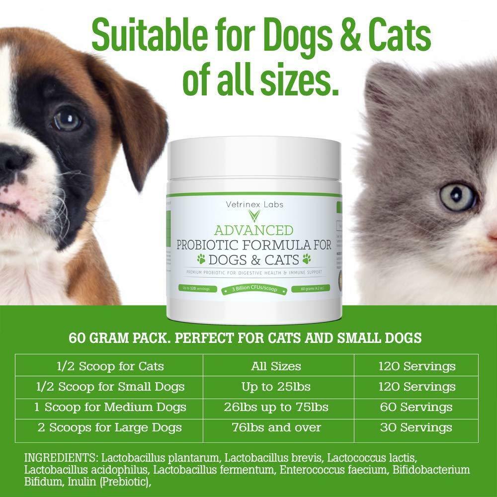Vetrinex labs probiotics for dogs cheap & cats