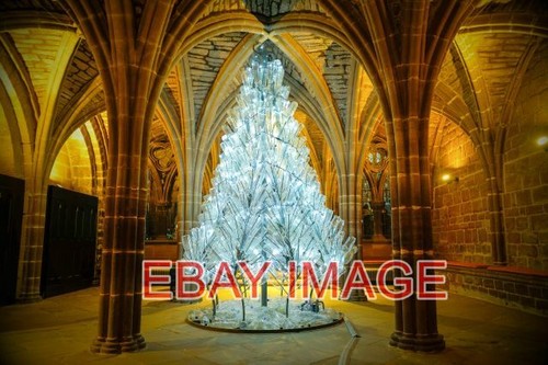 PHOTO A CHRISTMAS TREE FOR LIFE IN CHESTER CATHEDRAL AT FIRST SIGHT THIS LOOKS - 第 1/1 張圖片