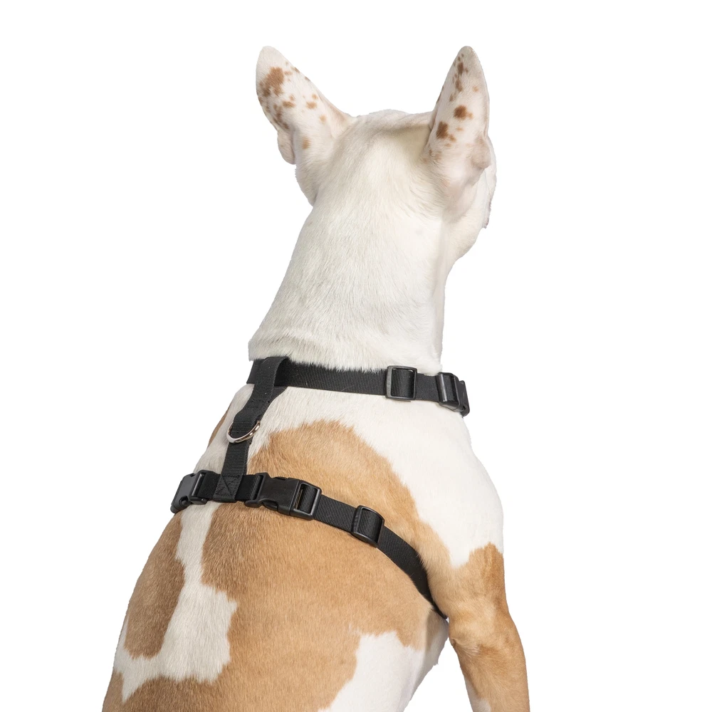 Dog Harness, Adjustable Mesh, Reflective Dog Walking Pet Harness, Black