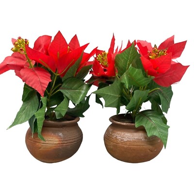 mini watering can for indoor plants No-Spill Brushed Stainless Steel Watering Cans Silver / 30 fl oz (900ml) main image 1