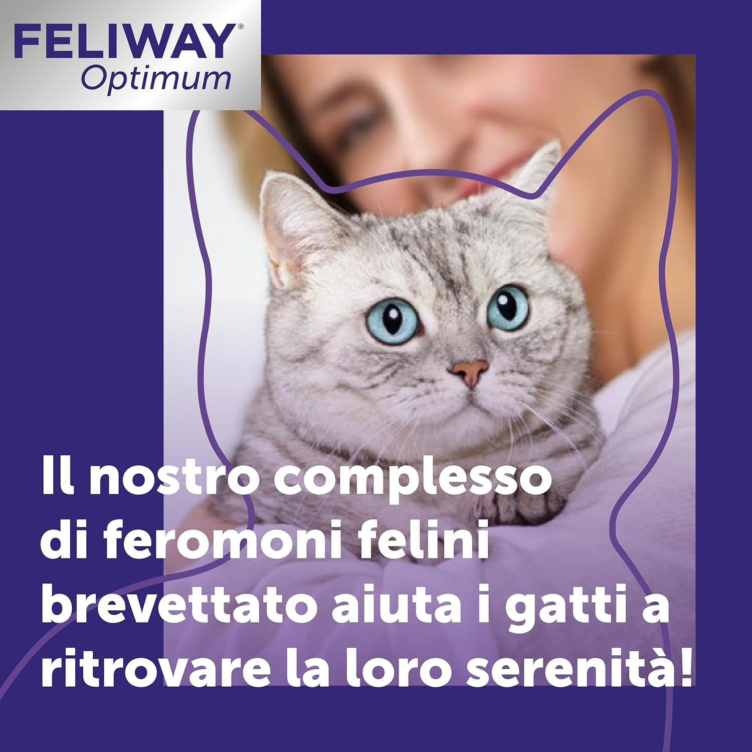 Optimum Diffusore Feromoni Gatti Kit: Casa Serena e Senza Stress - 2