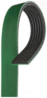 Serpentine Belt   Gates   K061373HD