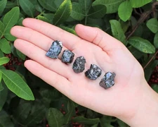 Small Elite Shungite, 1 - 1.5" Natural Noble Shungite Crystals (EMF Protection)