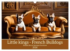 Little kings - French Bulldogs (Wall Calendar 2026 DIN A3 Landscape), CALVENDO 1