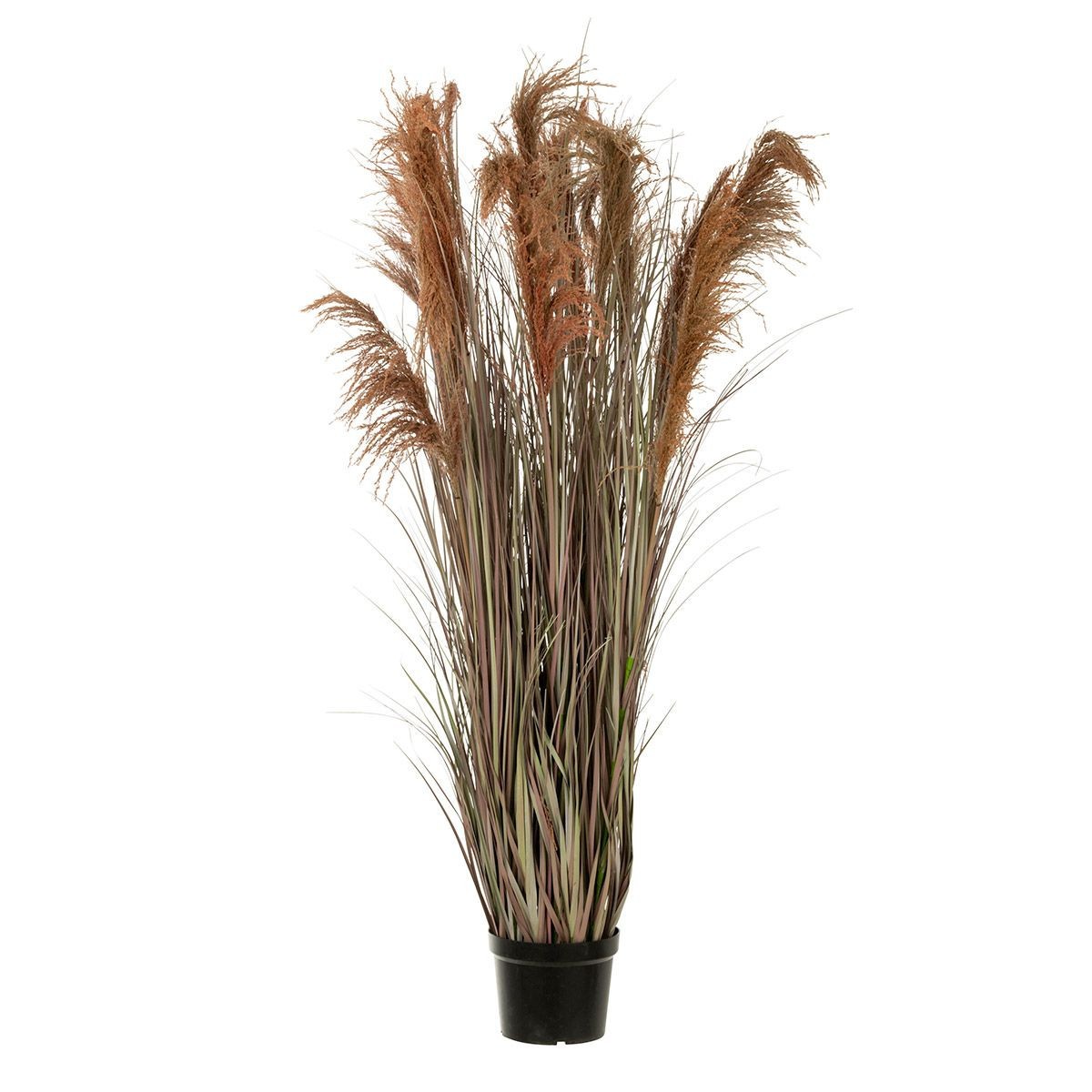 Herbe de pampas artificielle 180cm en pot pour décorer un salon bohème chic moderne