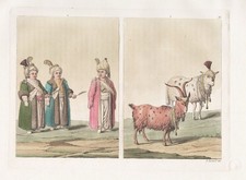 Costume Garçon Musulman Circoncision Chèvre Aquatinta Gravure Ferrario 1820