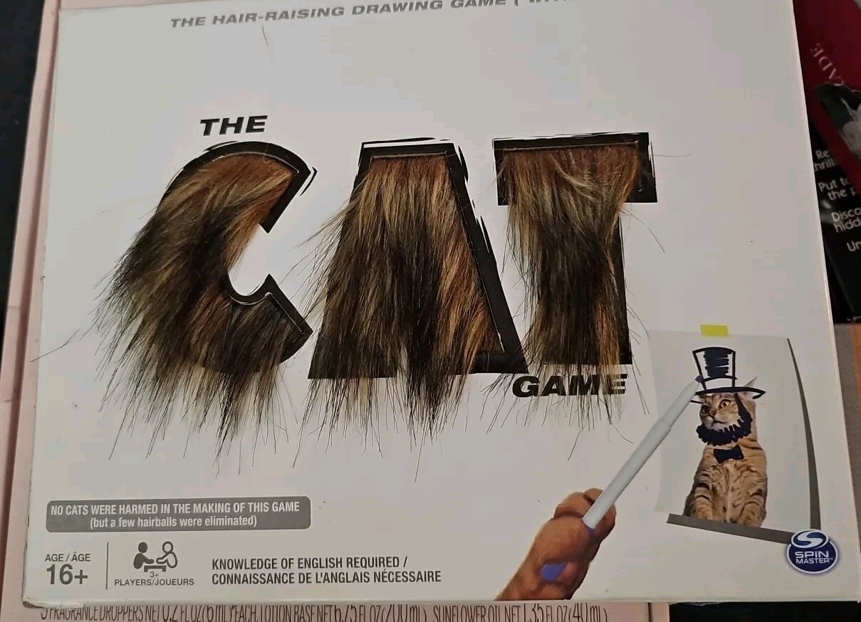 Spin Master The Cat Game Drawing Card Game