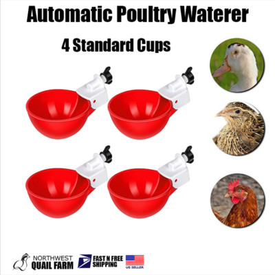 4PCS Automatic Water Cups Poultry Drinker Waterer Chicken Duck Quail Drinking US