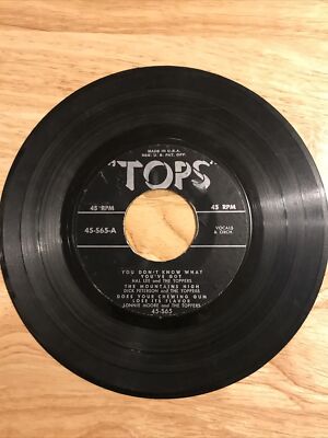 Who Put The Bomp/My True Story/You Don t Know What You ve Got/The Mountains High