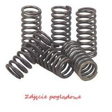 Fits EBC Polska Sp. z o.o. CSK127 MOTOR CLUTCH SPRINGS. CCM 604 TRIAL/SM/RS/R30