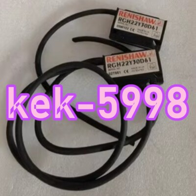 1PC RENISHAW RCH22Y30D61 #LM