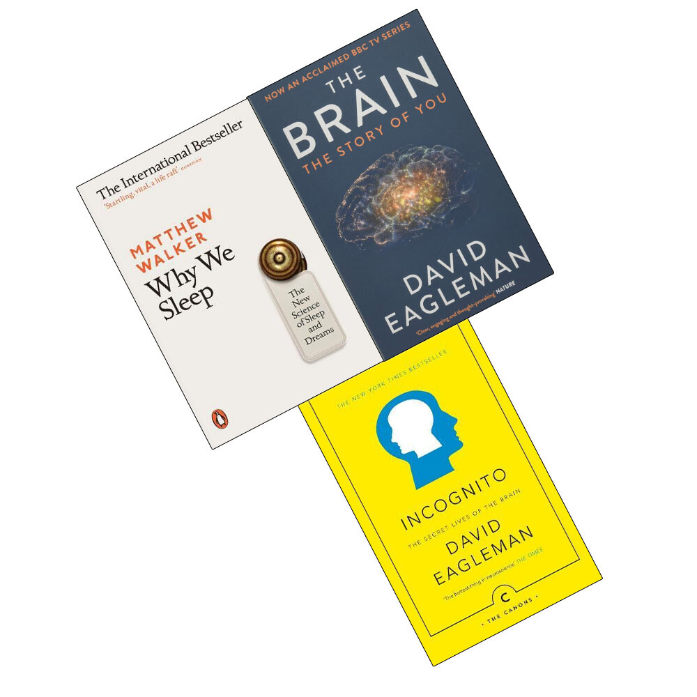 Canongate Books The Brain: The Story Of You By David Eagleman - Image 14
