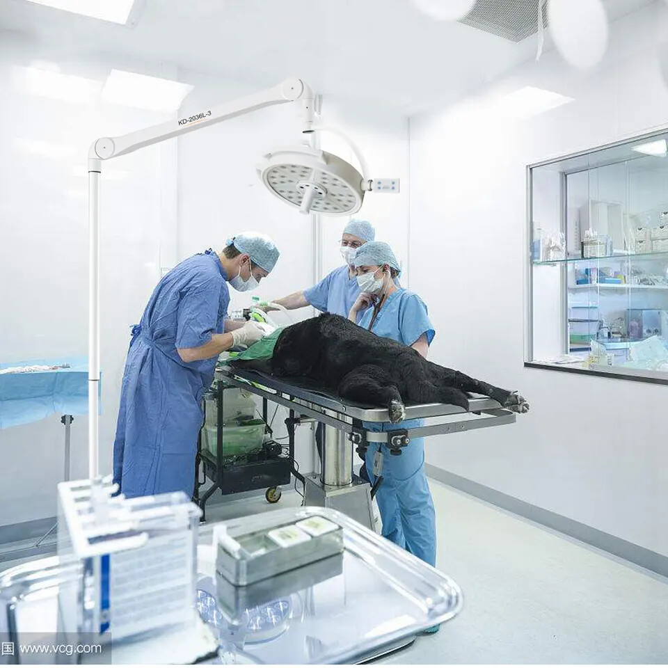 36 Holes 108W LED Mobile Medical Surgical Shadowless Operating Light Veterinary