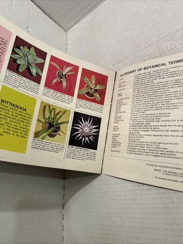 Bromeliads Tropical Air Plants Bill Seaborn 1976 Vintage Booklet - Picture 7 of 7
