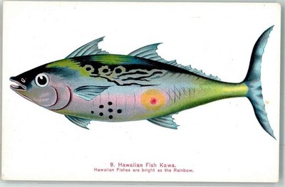 10647579 - Honolulu Hawaii Kawa Fisch Ort lt. Verlag Hawaii