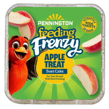 25 Pack Feeding Frenzy Apple Treat Suet Cake, 11.75 Oz Suet Cakes for Wild Bi