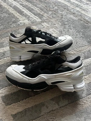 adidas Raf Simons x Replicant Ozweego Black Cream for Sale