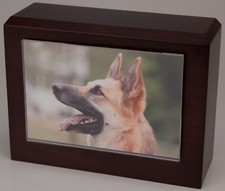 Small 85 Cubic Inches Walnut Pet Photo Urn for Ashes with Engravable Nameplate
