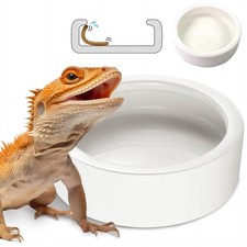 Reptile Food Bowl Dish - Worm Dish Reptile Water Bowl Lizard Gecko Ceramic Pet