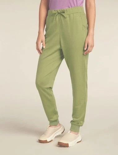 $200 Icebreaker Women's Merino Blend 200 Crush Pants - Glazen - Large - New Tag