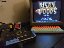 Risky Woods - Genesis - Cartridge Only - Tested Works!