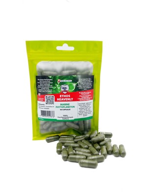 Marine Phytoplankton 90 Kapseln Pure Nannochloropsis 2026 Nahrungsergänzungsmittel