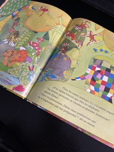 Le Grand Jour d’Elmer By David McKee. FRENCH Edition 9782877676342 Special Day - Picture 9 of 11