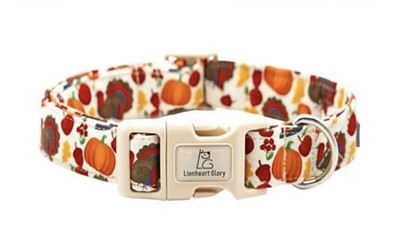 Turkey Dog Collar Thanksgiving Dog (Pack of 1) Pumpkin and Turkey Brand New