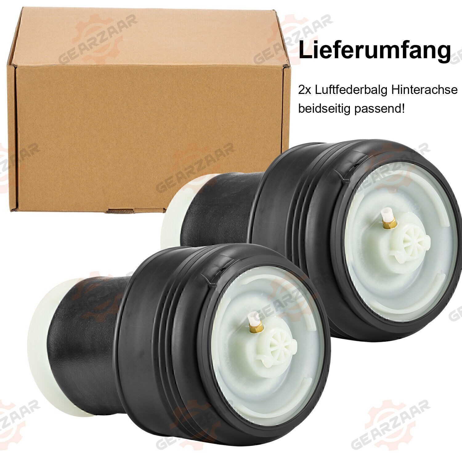 Bild 12 von 18